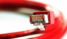 © Fotolia/Daniel Fuhr, Rotes Netzwerkkabel auf weißem Hintergrund © Fotolia/Daniel Fuhr, Rotes Netzwerkkabel auf weißem Hintergrund