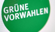© Screenshot gruenevorwahlen.at; ORF.at, Logo © Screenshot gruenevorwahlen.at; ORF.at, Logo