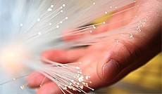© Fotolia/Benjamin Haas, Mann hält Glasfaserkabel in der Hand © Fotolia/Benjamin Haas, Mann hält Glasfaserkabel in der Hand