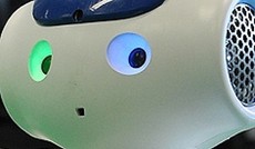 © ORF.at/Nadja Igler, Nao-Roboter im Porträt © ORF.at/Nadja Igler, Nao-Roboter im Porträt