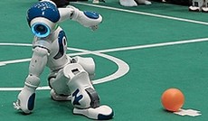 © ORF.at/Nadja Igler, Nao-roboter steht auf © ORF.at/Nadja Igler, Nao-roboter steht auf