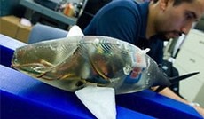 © Patrick Gilloly/MIT News Office, Roboterfisch im Labor des MIT © Patrick Gilloly/MIT News Office, Roboterfisch im Labor des MIT