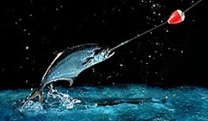 © Fotolia/Julian Rovagnati, Fisch an der Angel © Fotolia/Julian Rovagnati, Fisch an der Angel