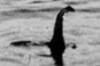 Bildquelle: Loch Ness Live Bildquelle: Loch Ness Live