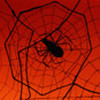 Bildquelle: PhotoDisc Bildquelle: PhotoDisc