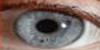 Bildquelle: altavista Bildquelle: altavista