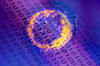 Bildquelle: Photodisc Bildquelle: Photodisc