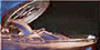 Bildquelle: cola-company Bildquelle: cola-company