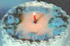 Bildquelle: altavista Bildquelle: altavista
