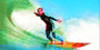 Bildquelle: surfers delight Bildquelle: surfers delight