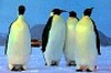Bildquelle: Bildquelle: