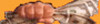 Bildquelle: altavista Bildquelle: altavista