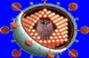 Bildquelle: altavista Bildquelle: altavista