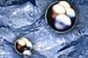 Bildquelle: Photodisc Bildquelle: Photodisc