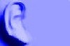 Bildquelle: PhotoDisc