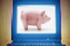 Bildquelle: fotodisk Bildquelle: fotodisk