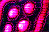 Bildquelle: Altavista Bildquelle: Altavista