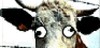 Bildquelle: mad cow prod. Bildquelle: mad cow prod.