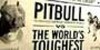 Bildquelle: pit Bildquelle: pit