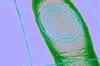 Bildquelle: PhotoDisc
