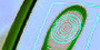 Bildquelle: PhotoDisc