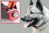Bildquelle: ORF/Pointer