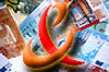 Bildquelle: ORF.at