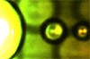 Bildquelle: PhotoDisc