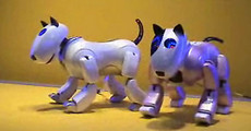 DasaTech