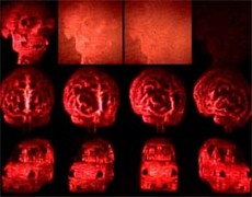 University of Arizona, Tucson