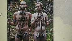 � Bild: eSeL, Haas/Mayer/Mickal bei UmORTnung , Zur�ck zur digitalen Natur