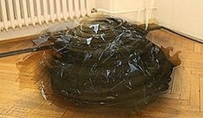 � Bild:eSeL, Installation Sebastian Walther / Das Weisse Haus, Installation Sebastian Walther / Das Weisse Haus