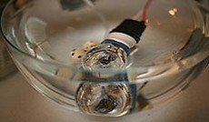 � Tetsuy Omeda - Dorkbot @ Coded Cultures // Foto: eSeL, Unterwasser-Gl�hbirne in der Ausstellung Coded Cultures