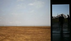 � Bild: Esel, Ein Handy und eine Landschaft