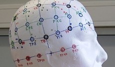 � ORF.at, BCI G. Tec