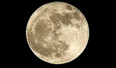 � Fotolia/Parato, Mond