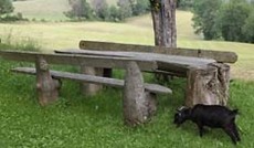© eSeL, Rustikale Sitzgruppe im Freien © eSeL, Rustikale Sitzgruppe im Freien