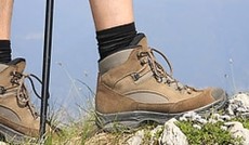 © Fotolia/Niceshot , Wanderschuhe auf Bergwiese © Fotolia/Niceshot , Wanderschuhe auf Bergwiese